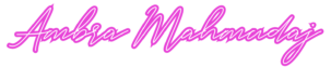 Ambra mahmudaj Web Designer